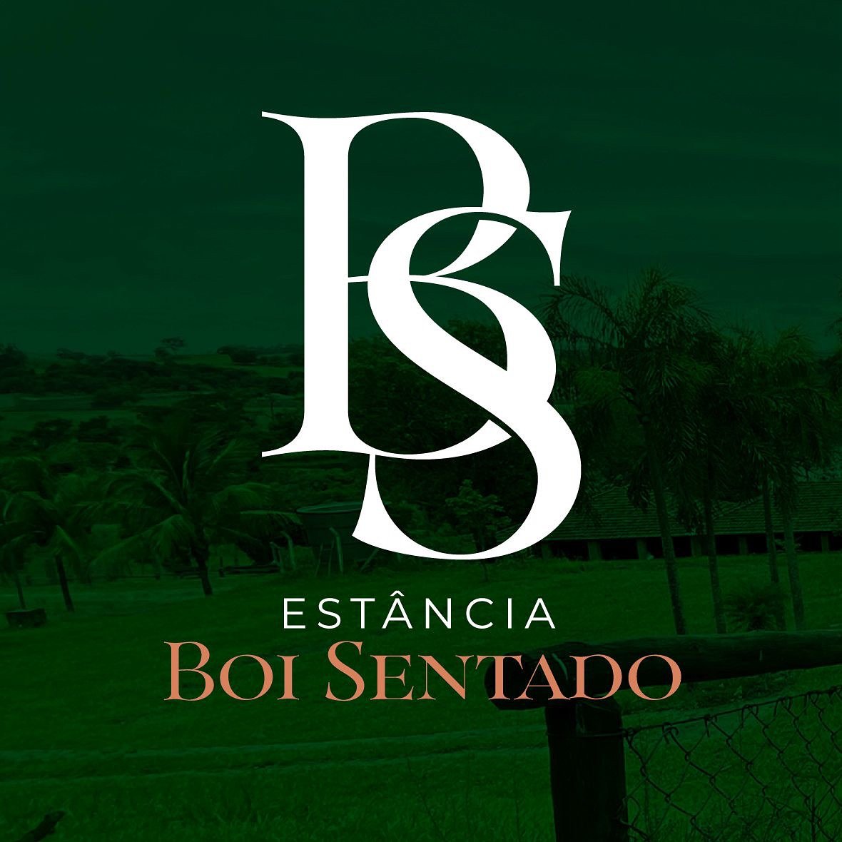 logotipo estância Boi Sentado Pousada em Santa Rita do Passa Quatro