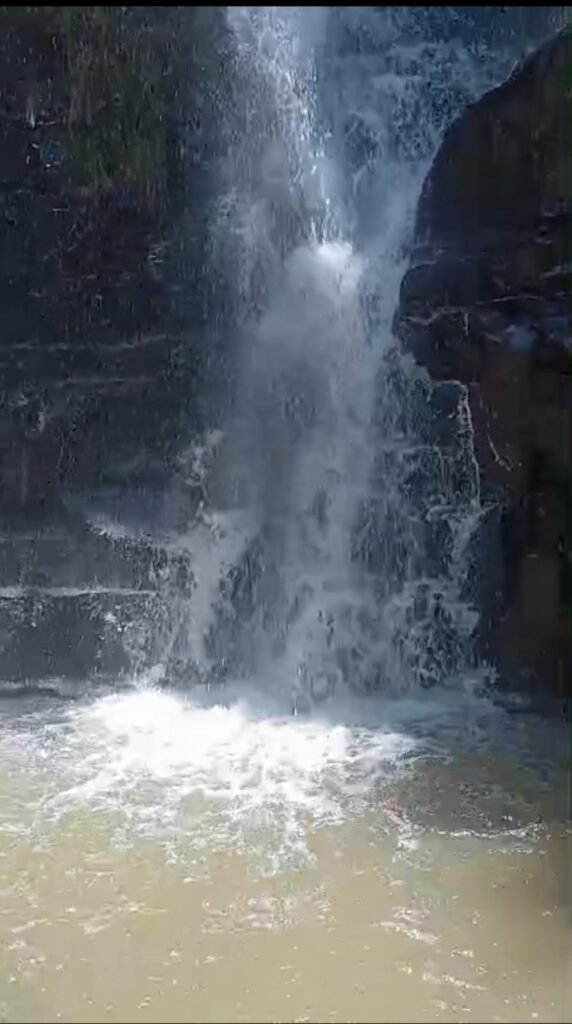 Trilha – Cachoeira dos Macacos