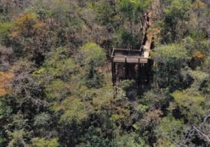 trilha-mirante-Medium