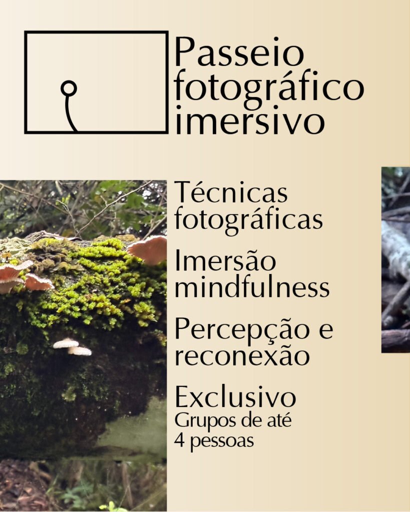 III Passeio Fotográfico
