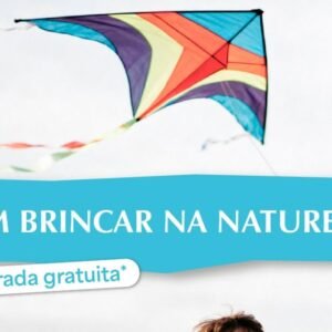 festival-de-pipas-evento
